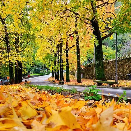 Hotel Del Fiume Cannobio Zewnętrze zdjęcie