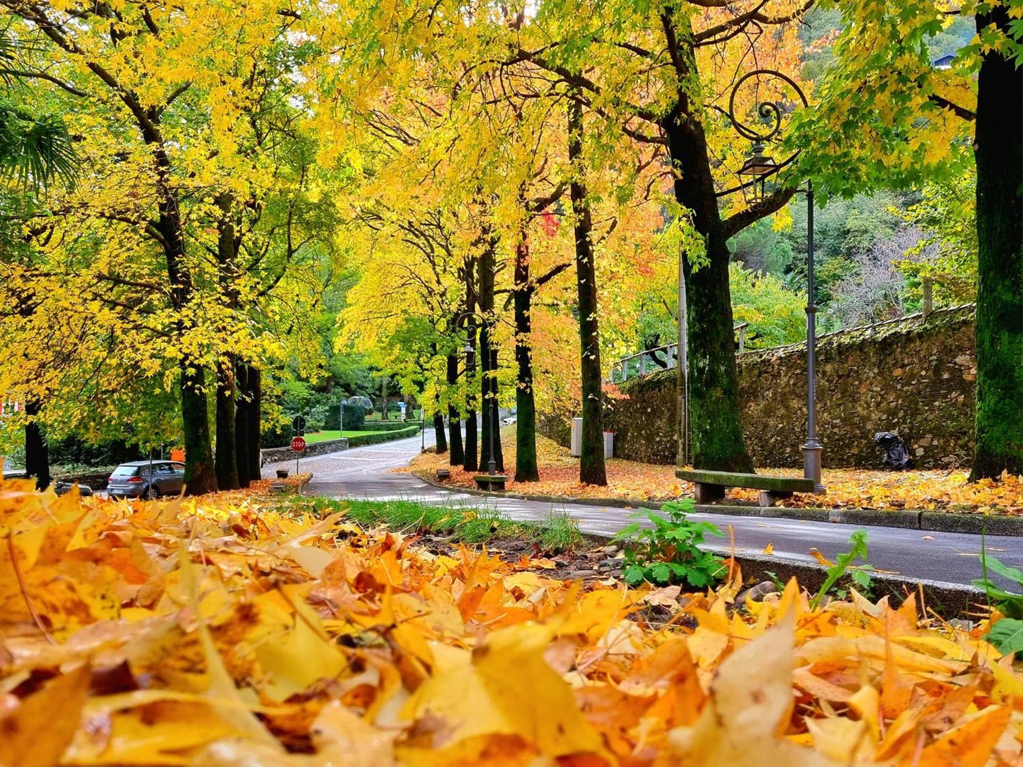 Hotel Del Fiume Cannobio Zewnętrze zdjęcie